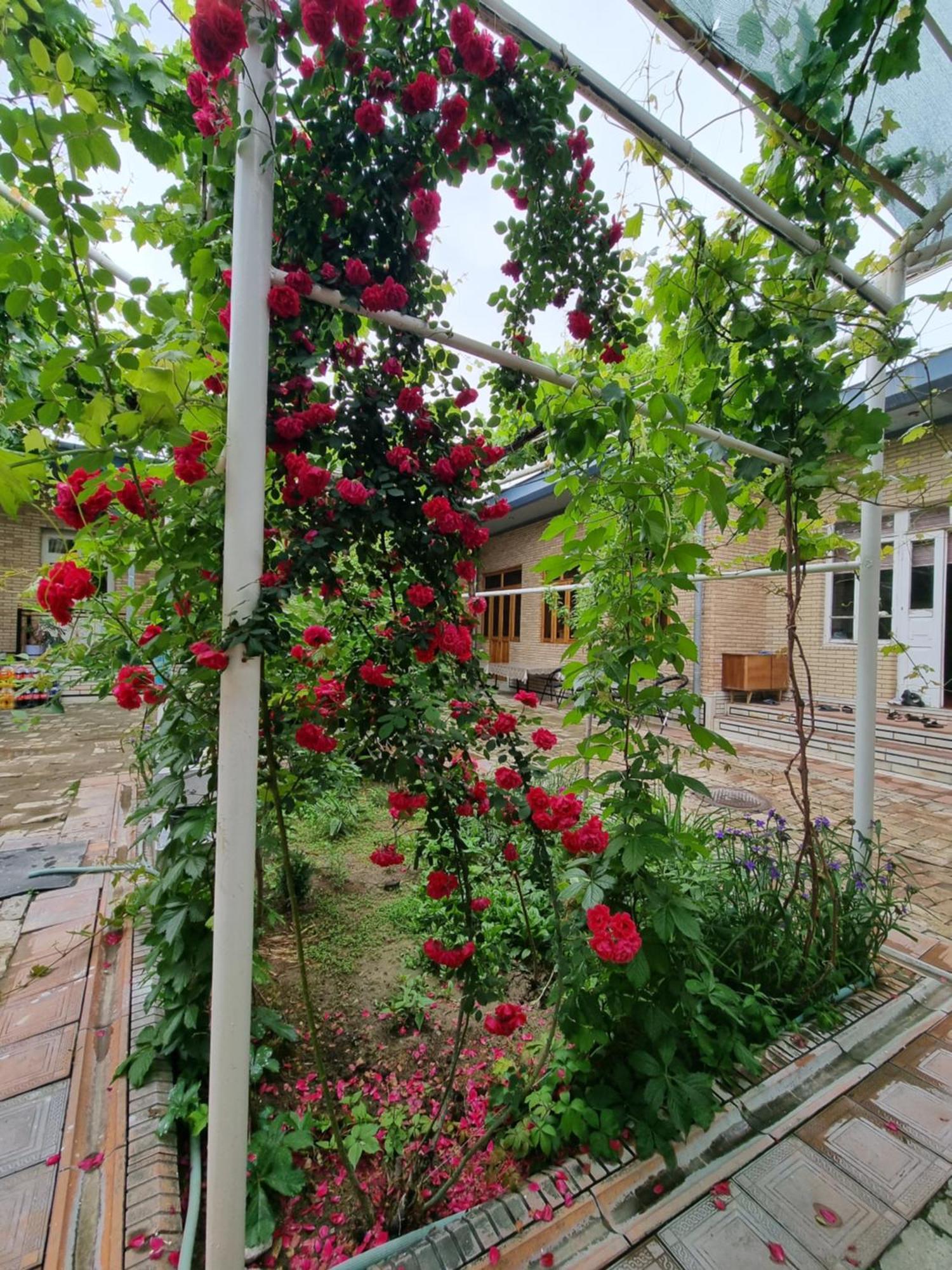 Hostel Muborak Самарканд Экстерьер фото